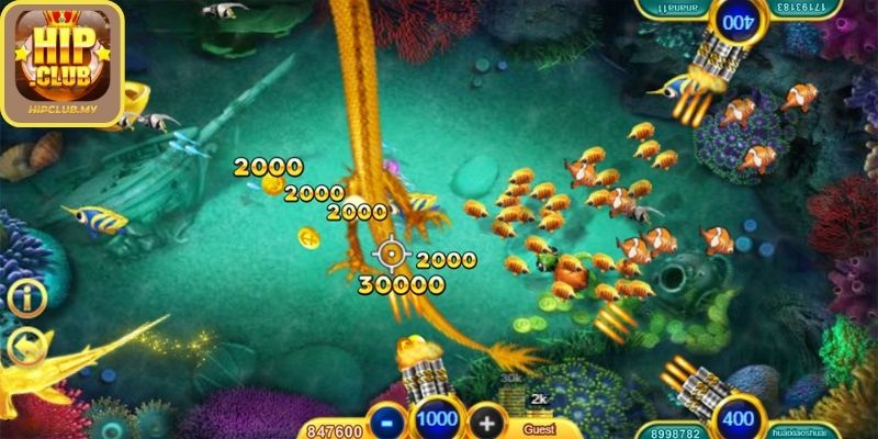 Hệ thống tính năng đa dạng